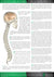 Poster - 14 Facts of Chiropractic Care